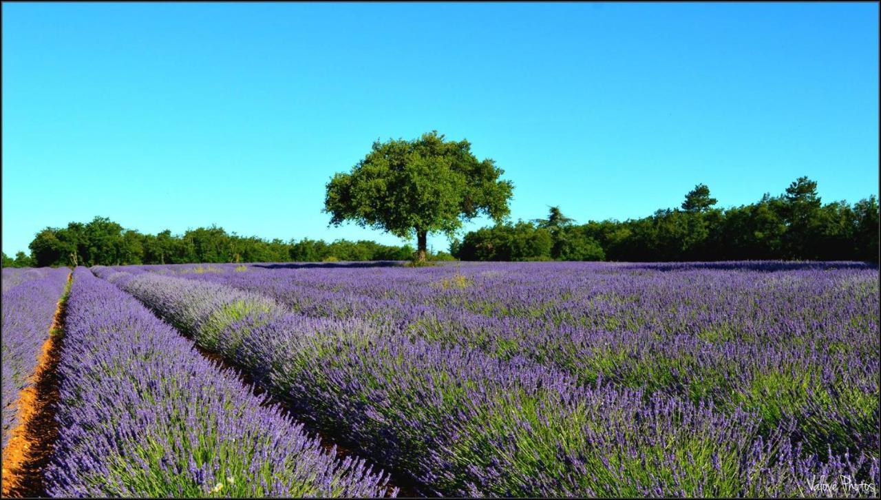 L'Oustaou Du Luberon Et Spa Villelaure Exterior photo
